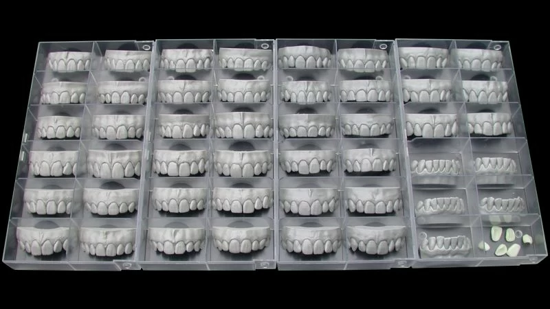 Exocad Tooth Library