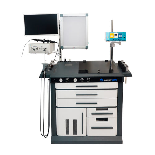 DS.AssistENT Europe DS.AssistENT Europe