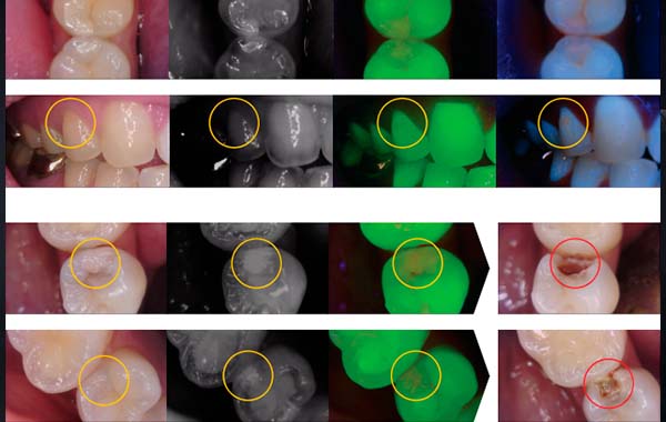 Мультифункциональность