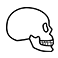 icon_cephalxray_58.png