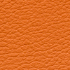 HX012-27.jpg