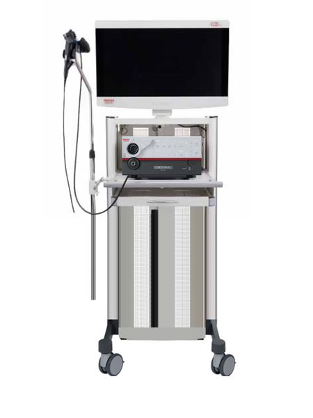 Pentax EPK‑3000 Defina light