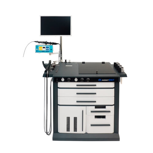 DS.AssistENT Europe DS.AssistENT Europe